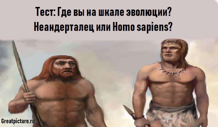 Тест: Где вы на шкале эволюции?Неандерталец или Homo sapiens?