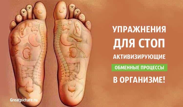 Упражнения для стоп активизирующие обменные процессы...