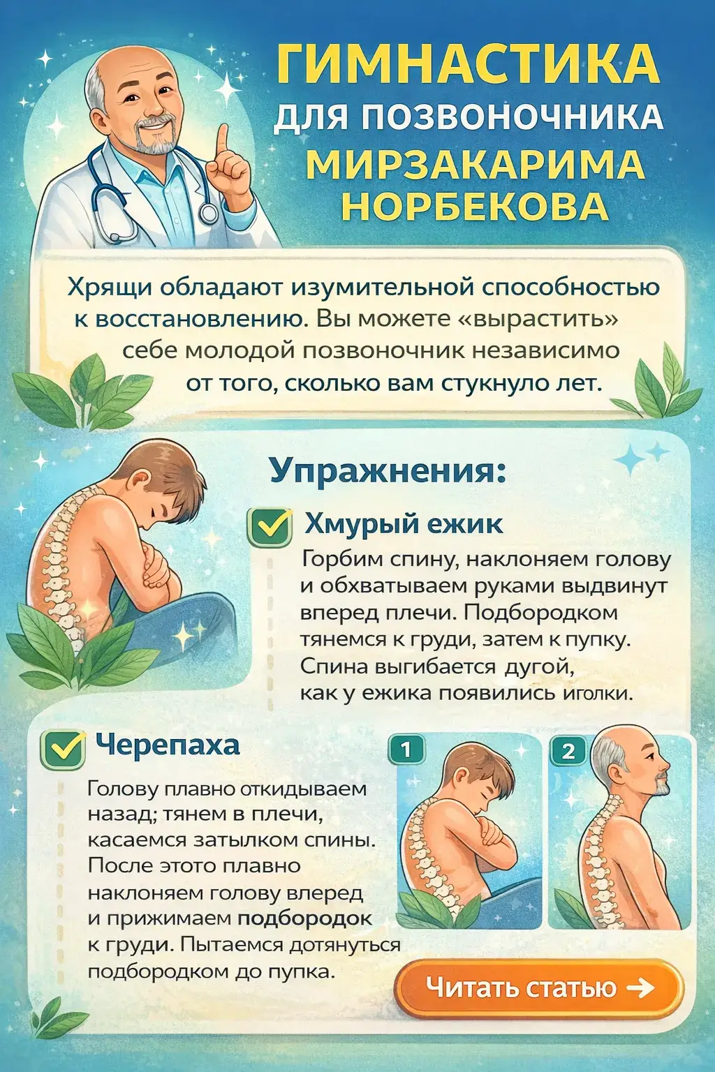 Гимнастика для позвоночника