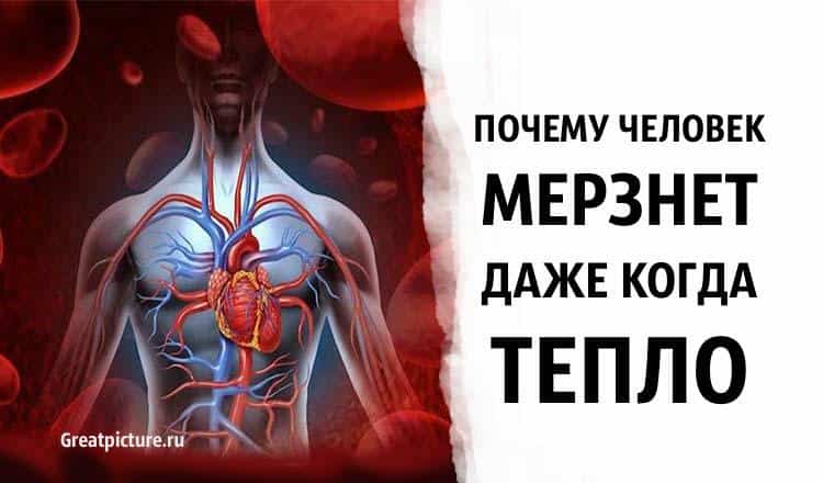 Почему человек всегда холодный. Почему человек мерзнет. Почему человек холодеет. Почему человек мёрзнет когда тепло. Почему человек замерзает.