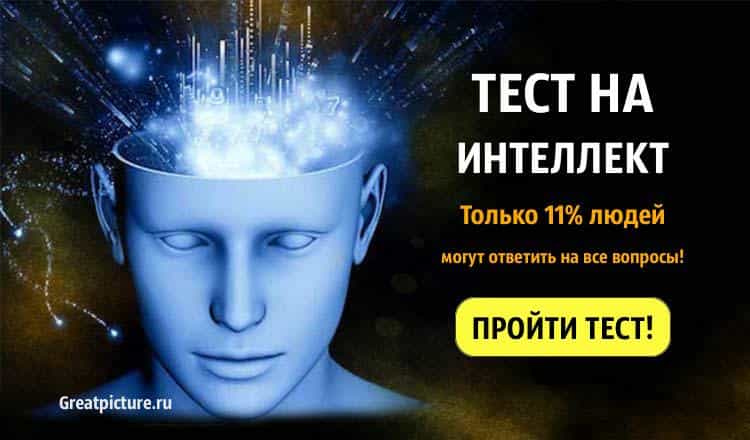 Тест на интеллект. Только 11% людей могут ответить на все вопросы!