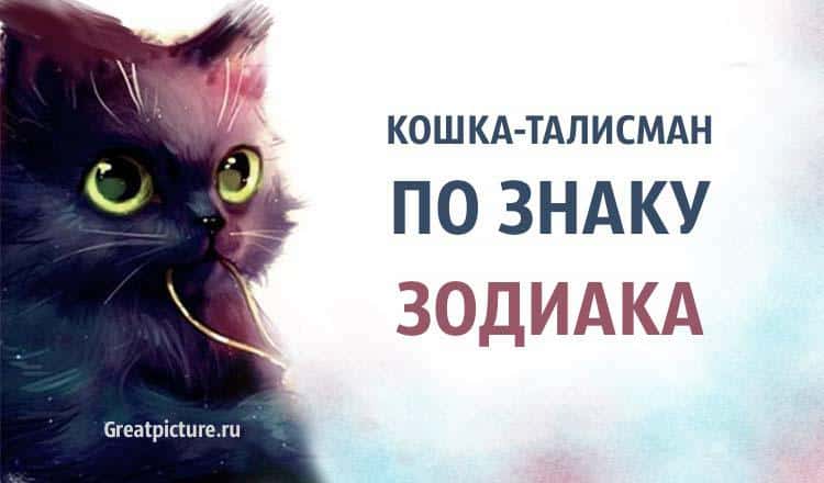 Кошка-талисман по знаку Зодиака. Как правильно выбрать кошку?