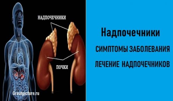 надпочечники лечение форум