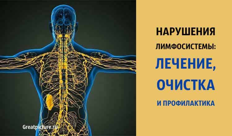 Нарушения ЛИМФОСИСТЕМЫ: лечение, очищение и профилактика