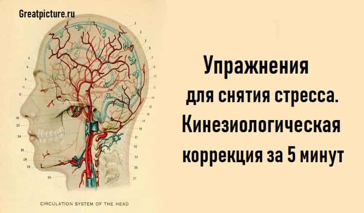 Упражнения для снятия стресса.Кинезиологическая коррекция за 5 минут