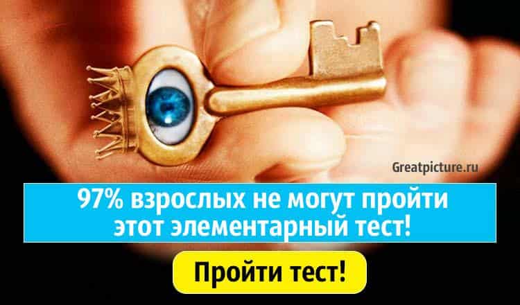 97% взрослых не могут пройти этот элементарный тест. А вы сможете?