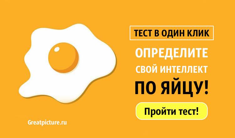 Тест в один клик: определи свой интеллект по яйцу!