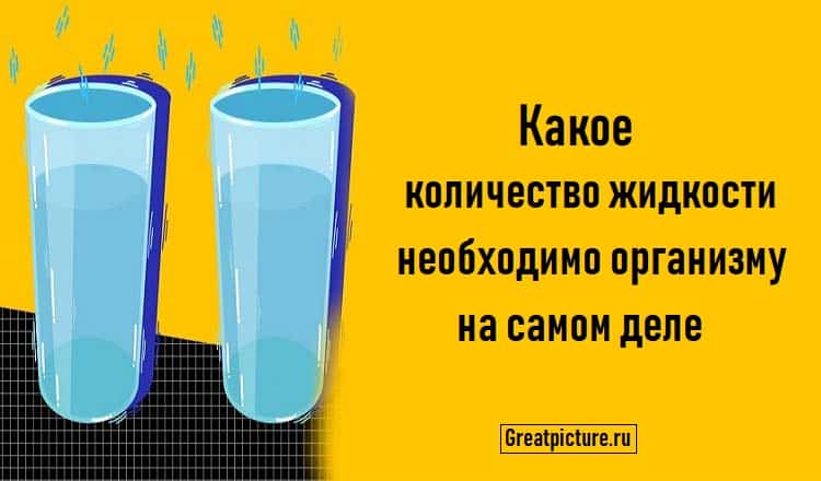 Какое количество жидкости необходимо организму на самом деле