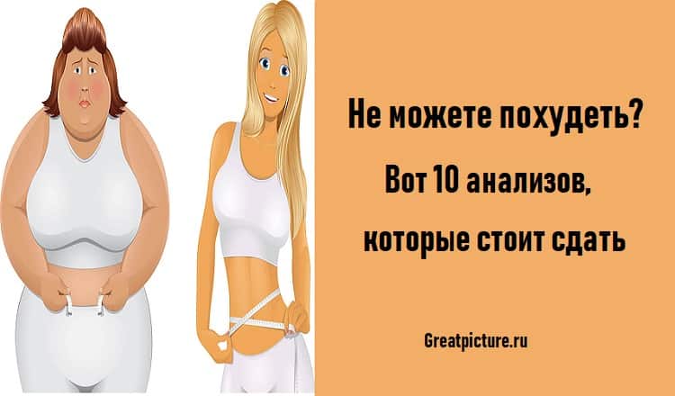 Не можете похудеть? Вот 10 анализов, которые стоит сдать