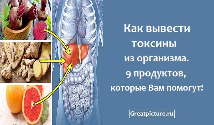 Как вывести токсины из организма.9 продуктов, которые Вам помогут!