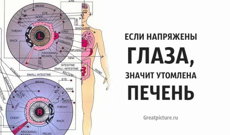 Если напряжены Глаза, значит утомлена‬ ПЕЧЕНЬ. Я даже не подозревал!