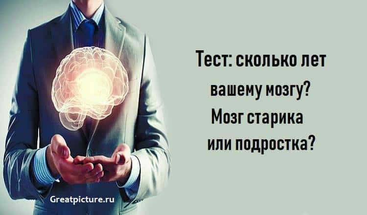 Тест: сколько лет вашему мозгу? Мозг старика или подростка?