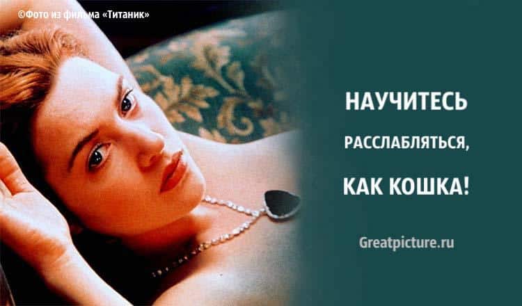 Научитесь расслабляться, как кошка! Или как не сломаться