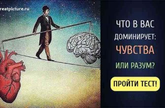 Тест. Что в вас доминирует: чувства или разум?