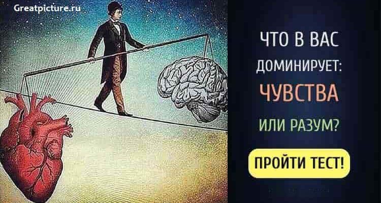 Тест. Что в вас доминирует: чувства или разум?