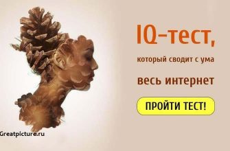 IQ-тест, который сводит с ума интернет. Рискните пройти!