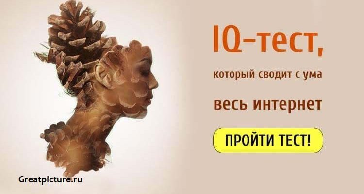 IQ-тест, который сводит с ума интернет. Рискните пройти!