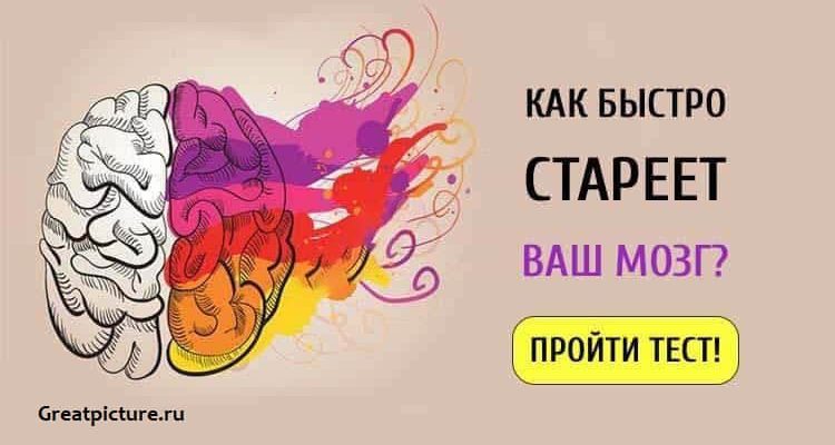 Тест. Узнайте как быстро стареет ваш мозг! Просто поразительно!