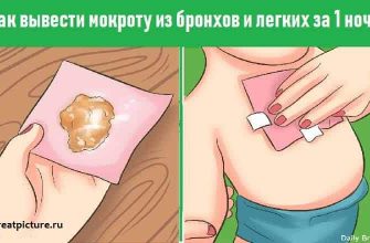 Как вывести мокроту из бронхов и легких за 1 ночь!