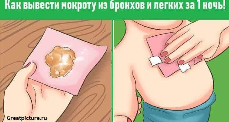 Как вывести мокроту из бронхов и легких за 1 ночь!