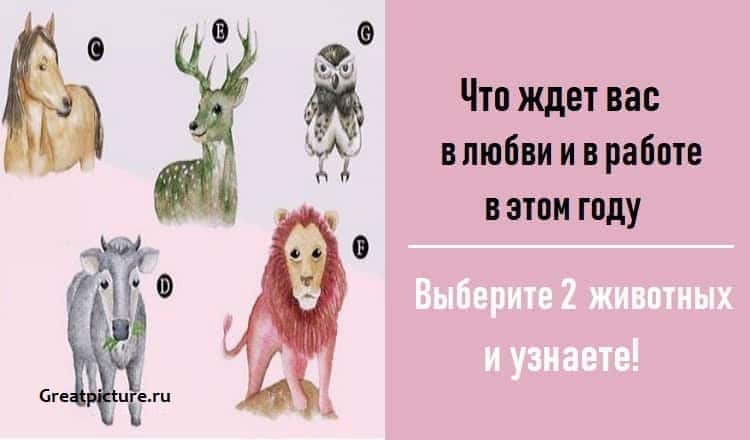 Что ждет вас в любви и в работе в этом году.Выберите 2 животных, и узнаете!