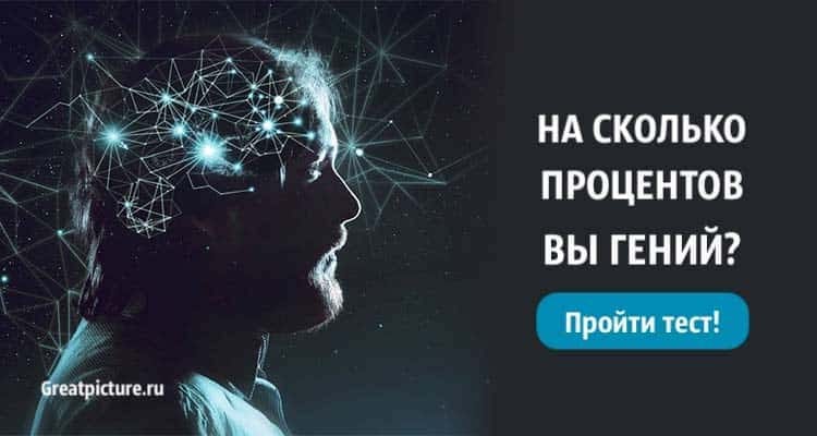 Тест на гения. Узнайте, на сколько процентов вы гений! Супер!