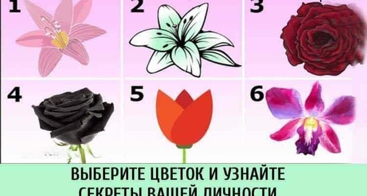 Тест.Выберите цветок и узнайте секреты вашей личности
