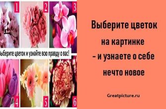 Выберите цветок на картинке - и узнаете о себе нечто новое