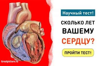 Уникальный тест созданный учеными: Сколько лет вашему СЕРДЦУ?