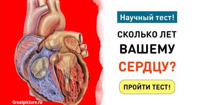 Уникальный тест созданный учеными: Сколько лет вашему СЕРДЦУ?