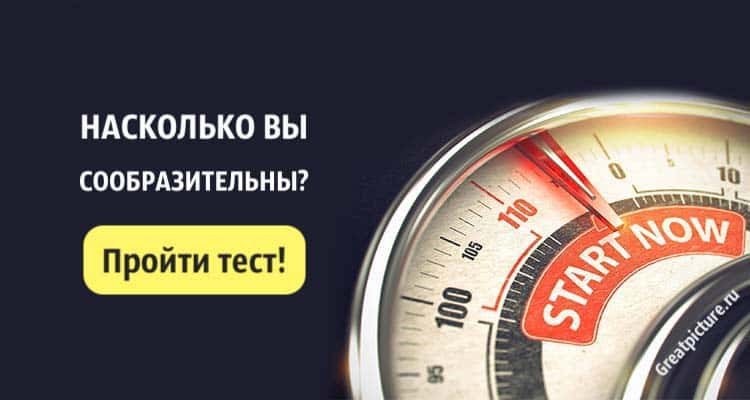 Тест: Насколько вы сообразительны? Узнайте, насколько вы умны!