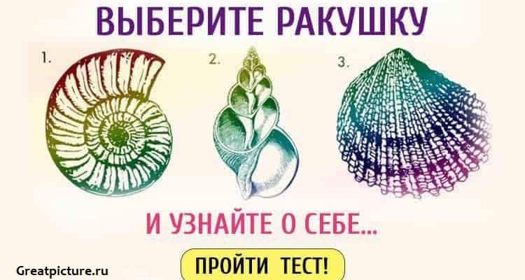 Выберите ракушку и узнайте о себе что-то важное!