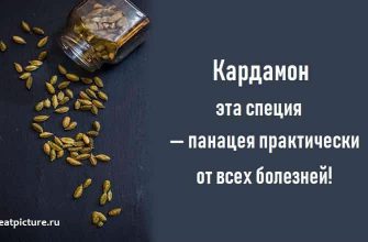 Кардамон эта специя — панацея практически от всех болезней!