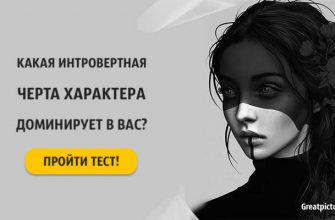 Тест: Какая ваша интровертная черта характера доминирует в вас?