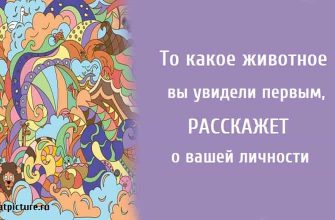 То какое животное вы увидели первым, расскажет о вашей личности