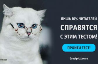 Тест: Лишь 10% читателей справятся с этим тестом! А вы сможете?