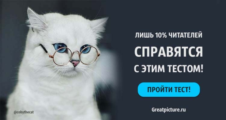 Тест: Лишь 10% читателей справятся с этим тестом! А вы сможете?