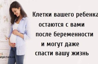 Клетки вашего ребенка остаются с вами после беременности и могут даже спасти вашу жизнь
