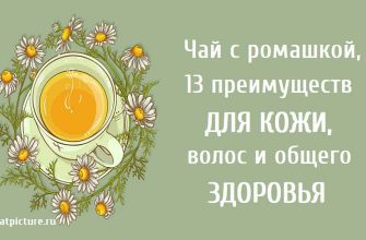 Чай с ромашкой,13 преимуществ для кожи, волос и общего здоровья