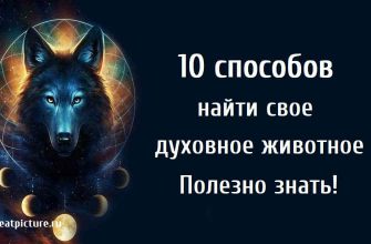 10 способов найти свое духовное животное.Полезно знать!