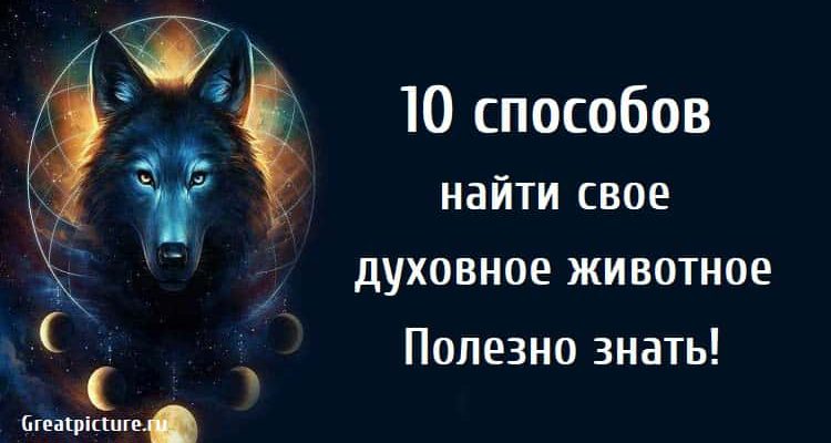 10 способов найти свое духовное животное.Полезно знать!