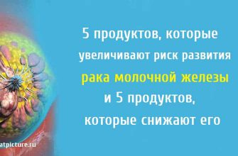 5 продуктов, которые увеличивают риск развития рака молочной железы и 5 продуктов, которые снижают его