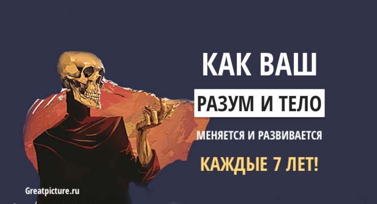 Как ваш разум и тело меняется и развивается каждые 7 лет!