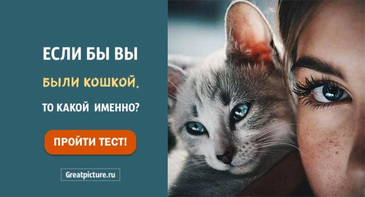 Тест. Если бы вы были кошкой, то какой именно?