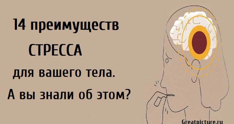 14 преимуществ стресса для вашего тела.А вы знали об этом?