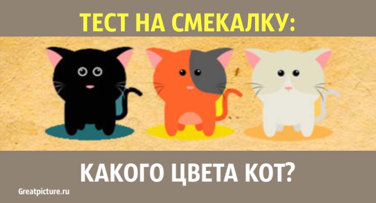 Тест на смекалку: Отгадай, какого цвета кот! Ошибаются 7 из 10!