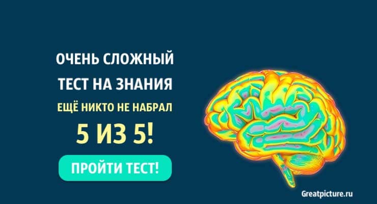 Очень сложный тест на знания: еще никто не набрал 5 из 5!