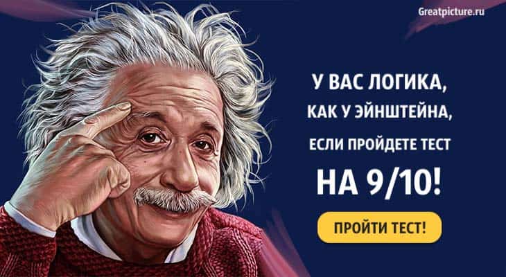 У вас логика, как у Эйнштейна, если пройдете тест на 9/10!