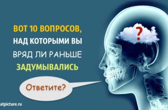 Тест. Вот 10 вопросов, над которыми вы вряд ли раньше задумывались. Ответите?