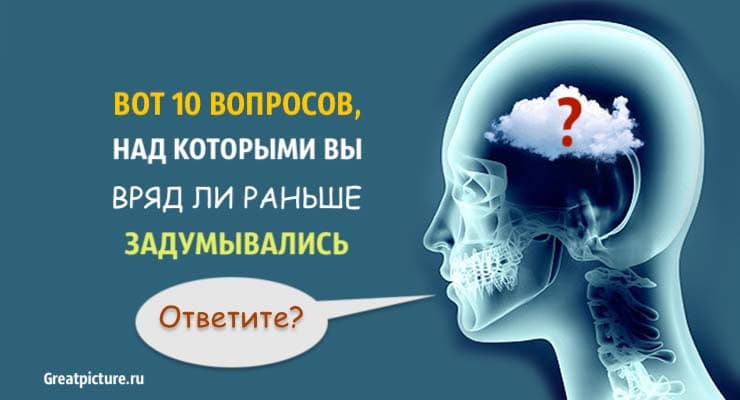 Тест. Вот 10 вопросов, над которыми вы вряд ли раньше задумывались. Ответите?